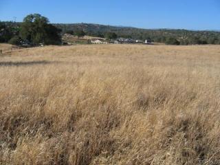 35055 Rough Rider Way, Raymond, CA 93653-9788