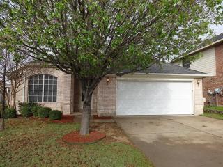 6609 Bear Hollow Ct, Fort Worth TX  76137-4718 exterior