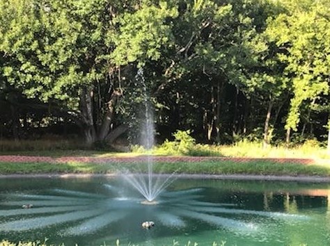 636 Possom Trot Holw, Whitewright TX 75491-7265 exterior