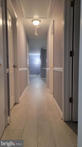 12304 Blakely Ct, Silver Spring MD 20904-1812 exterior