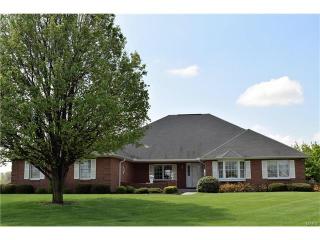 4059 Chestnut Oak Dr, Smithton, IL 62285-3741