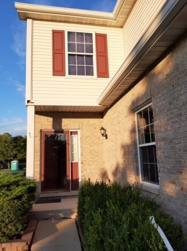 1 Lily Ct, Lemont IL  60440-3263 exterior