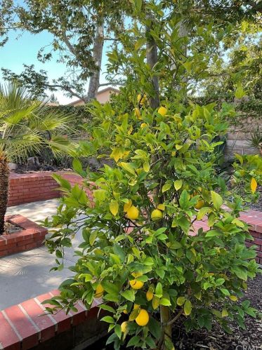 36 Sunlight, Irvine CA  92603-3724 exterior