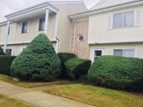 463 Mallview Ln, Lemont, IL 60440-2974