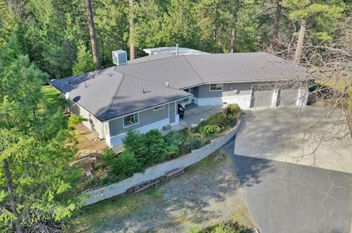 3960 Frog Hollow Dr, Swansboro Country, CA 95667-8431
