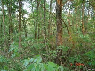 1302 Brenda Dr, Festus, MO 63028-4332