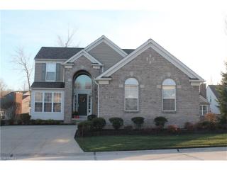 11503 Turnstone Ln, Concord Township, OH 44077-8996