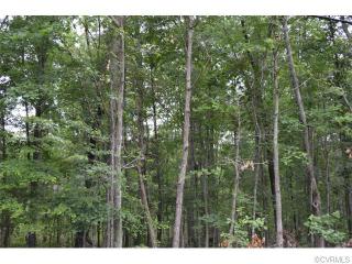 2200 Moseley Rd, Moseley, VA 23120-1064