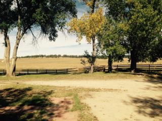 22296 County Road 150, Agate, CO 80101-9706