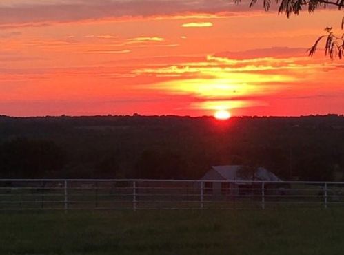 1256 Kentucky Town Rd, Whitewright TX 75491-3502 exterior