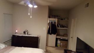 7966 Glen Dr, Irving TX  75063-8080 exterior