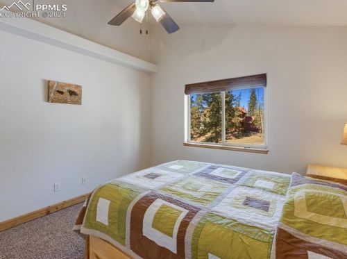 341 Panther Ct, Woodland Park CO exterior