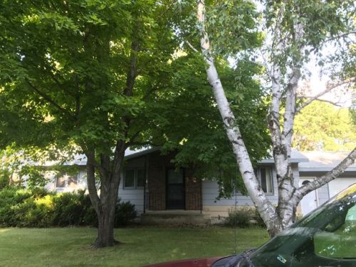 822 10th St, Wadena, MN 56482-1002