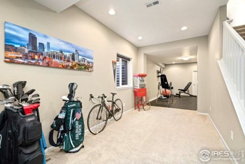 3838 Wild Elm Way, Fort Collins CO  80528-6902 exterior