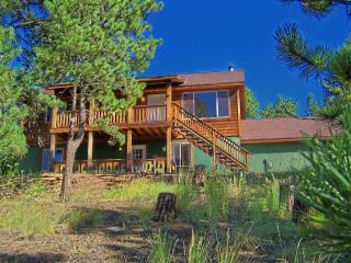 351 Deep Lake Dr, Divide, CO 80814-9753