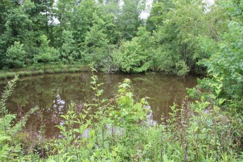 37 Moss Rd, Kokomo, MS 39643-4938