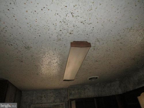 3906 Jeffry St, Silver Spring MD 20906-5131 exterior