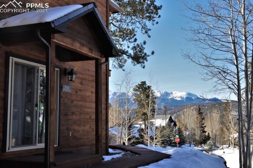 310 Panther Ct, Woodland Park CO exterior