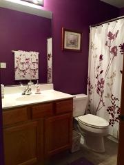 895 Emerald Dr, Pingree Grove IL  60140-9114 exterior