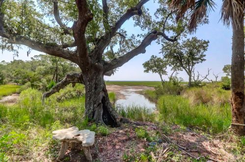 4169 Longmarsh Rd, Awendaw, SC 29429-4958