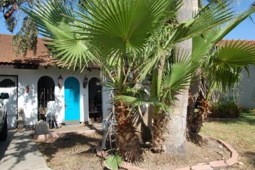 10 Resaca Vista Dr, Los Cuates, TX 78586-8366