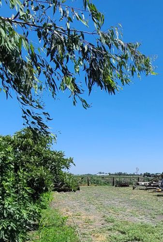8794 Blossom Ave, Dos Palos, CA 93620-9663