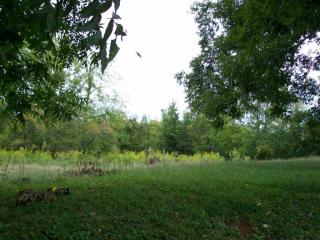 2587 Paraham Rd, York, SC 29745-7359