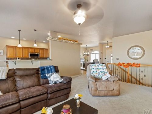 1117 Meadowmoor Dr, Pueblo CO  81007-2020 exterior