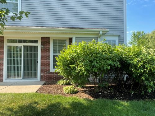 151 Park Ave, Sugar Grove IL  60554-2261 exterior