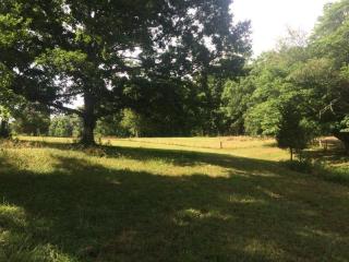 1579 Spoon Hollow Rd, Rutledge, TN 37861-5324