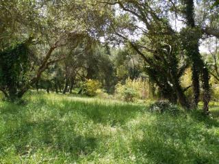 126 Meredith Ct, Aptos, CA 95003-4223