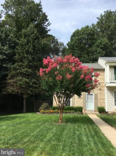 12943 Tourmaline Ter, Silver Spring MD 20904-5351 exterior