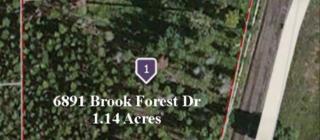 6891 Brook Forest Dr, Lakewood, CO 80439