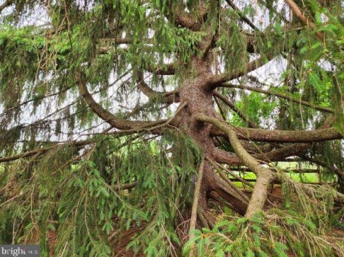 50 Valleybrook Dr, Lancaster PA  17601-4612 exterior