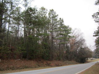 87 Macon Rd, Mc Intyre, GA 31054-2027
