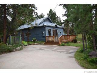34473 Ella Ave, Pine, CO 80470-9501