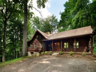 360 Mayapple Mountain Rd, Canton, NC 28716