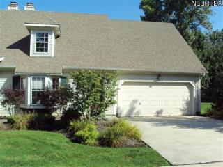 11393 Pelican Cv, Concord Township, OH 44077-9027