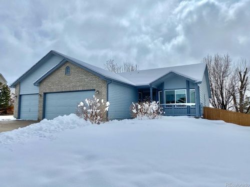 11244 Glenmoor Cir, Parker, CO 80138-3157