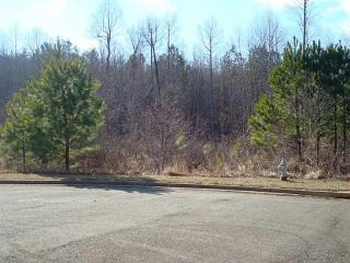 43 Village Creek Dr, Big Canoe, GA 30143