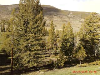37 Sage Rd, Montezuma, CO 80435-8484