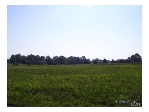 4013 Autumn Oak Dr, Smithton, IL 62285-3534