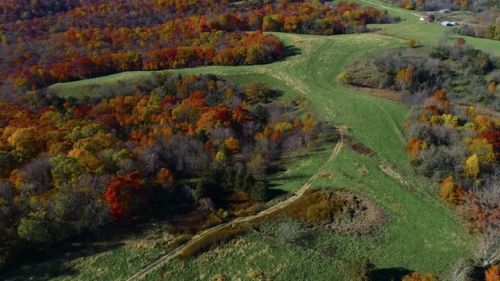 12385 County Road 391, Holts Summit, MO 65043-1608
