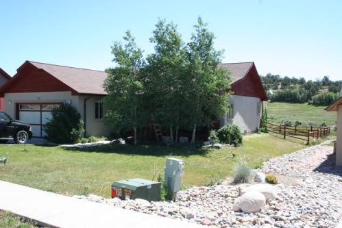 100 Brookside Trl, Vallecito, CO 81122-9030