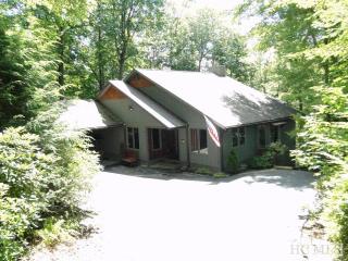 144 Hogback Ct, Sapphire, NC 28774-5521