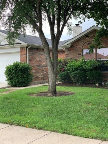 3813 Sonoma Dr, Argyle TX  76226-2413 exterior