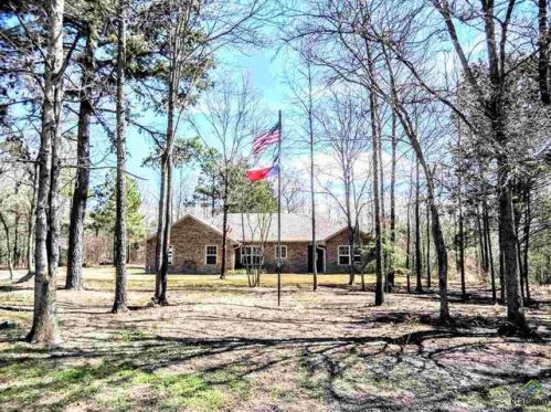 4147 Fm 1002, Big Sandy, TX 75755-3288