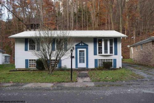 337 Cottage Ave, Valley Chapel WV  26452-1913 exterior