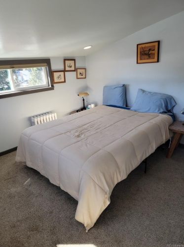 429 Elm St, Leadville CO  80461-3911 exterior