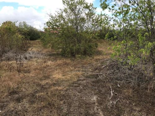 308 Schlemmer St, Uhland TX 78640-5681 exterior